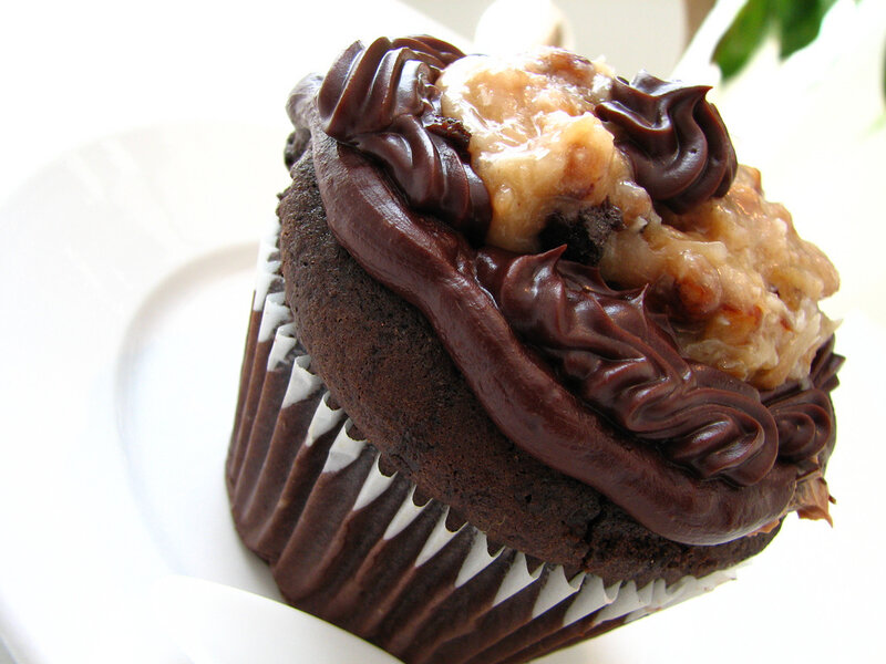 Chocolate Cupcake with Frosting — Brown, Neutral, Photograph, Cupcake Liner
