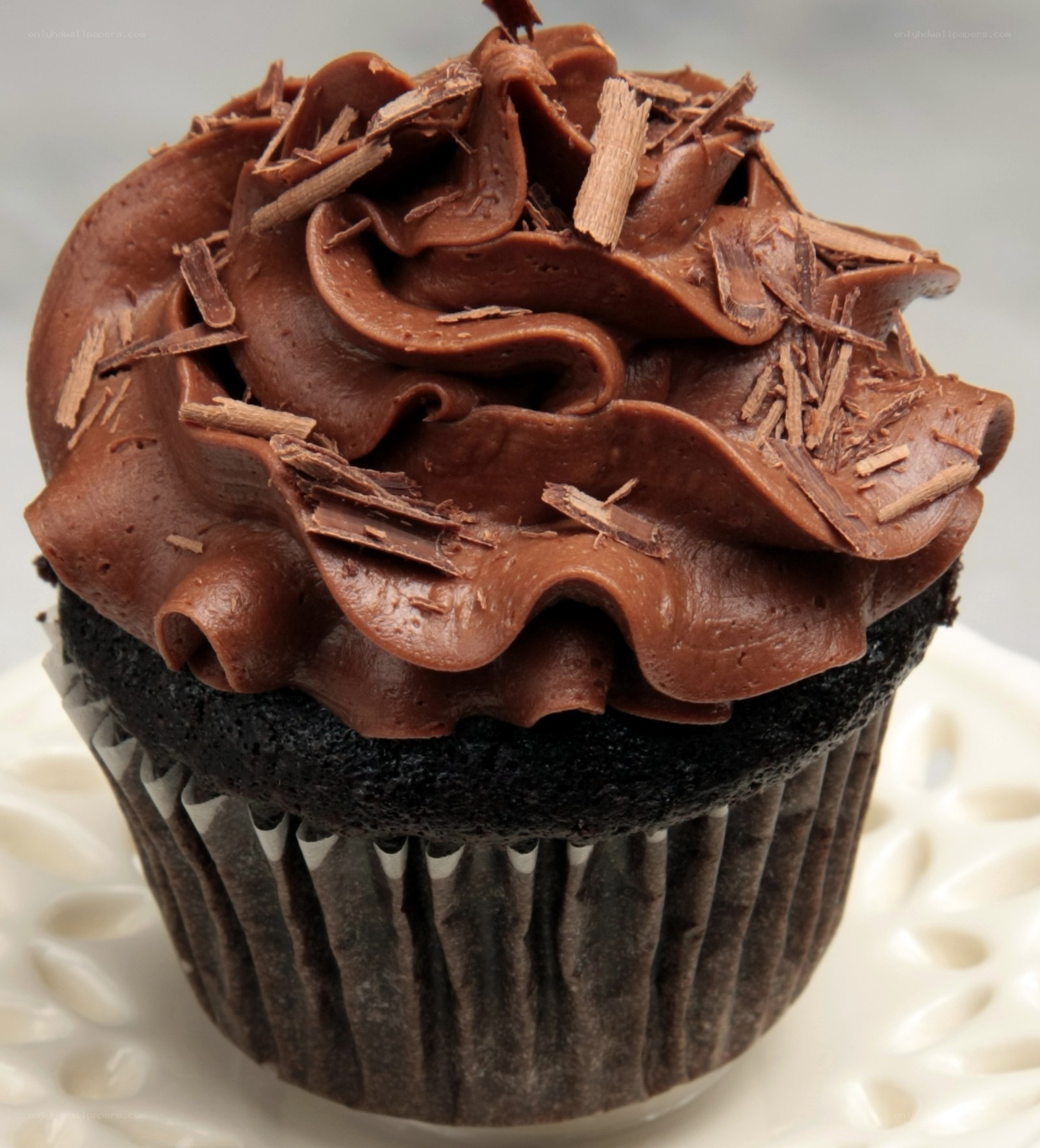 chocolate cupcake with frosting