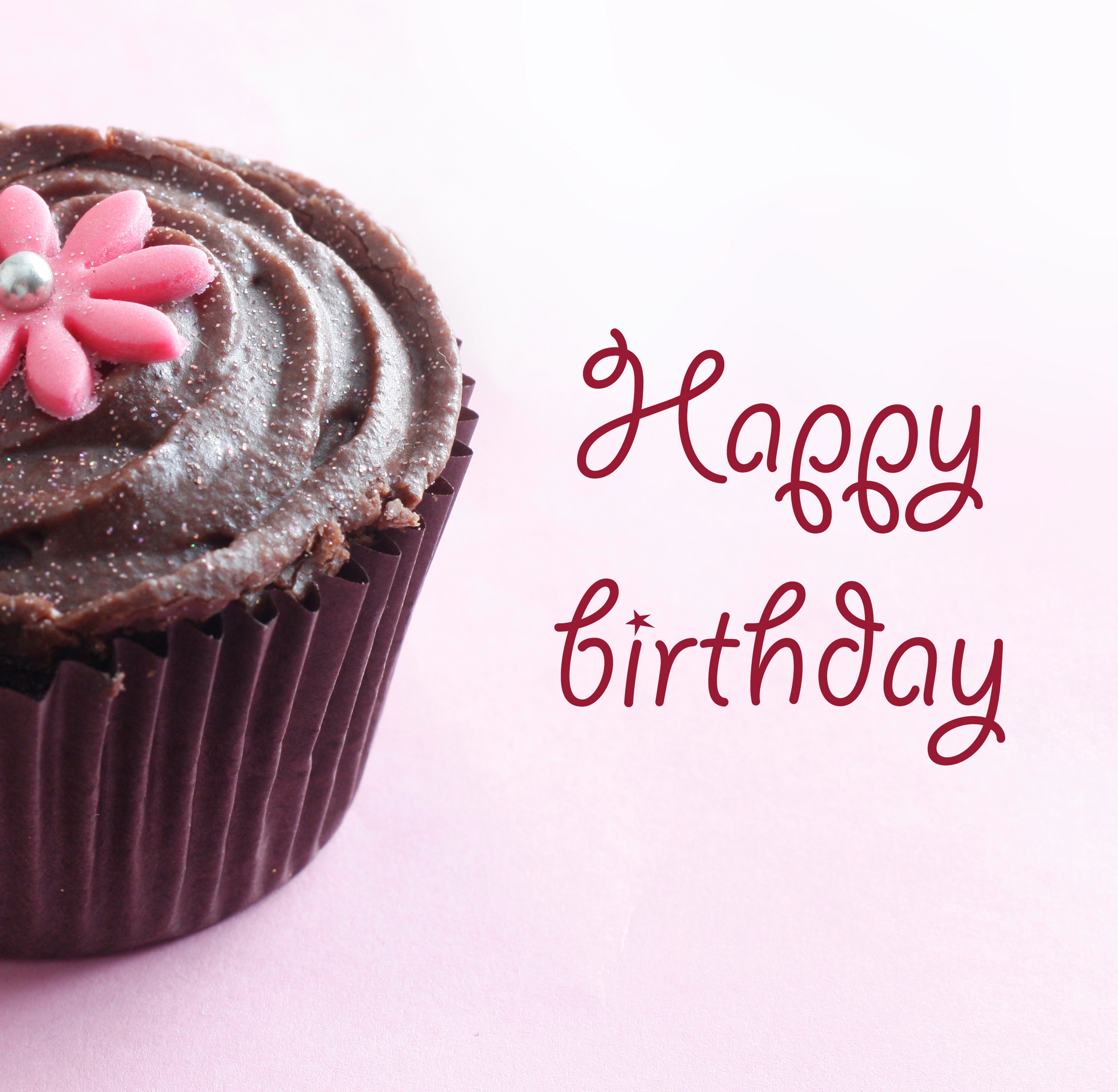 Chocolate cupcake with pink flower