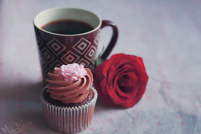 Chocolate Cupcake with Rose — Red