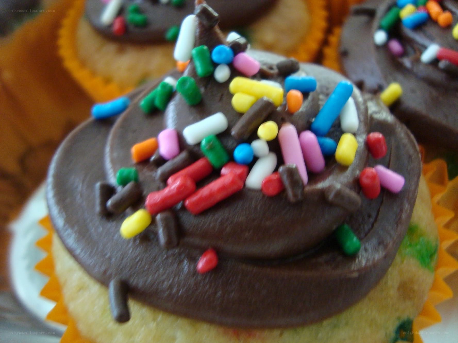chocolate cupcake with sprinkles