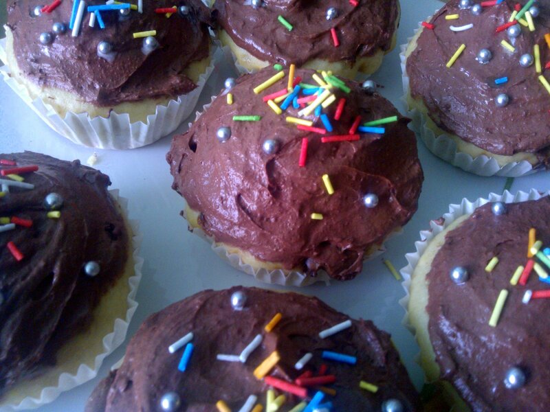 Chocolate Cupcakes — Brown, Festive, Photograph, Sprinkles