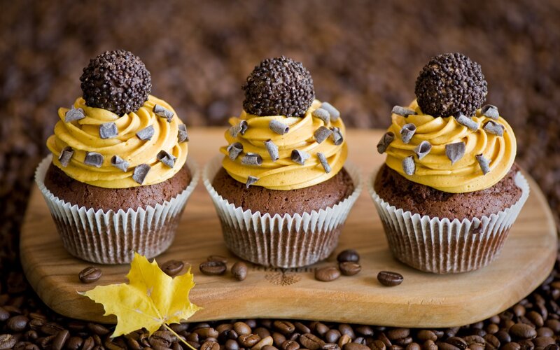 Chocolate Cupcakes — Brown, Warm, Autumn, Photograph