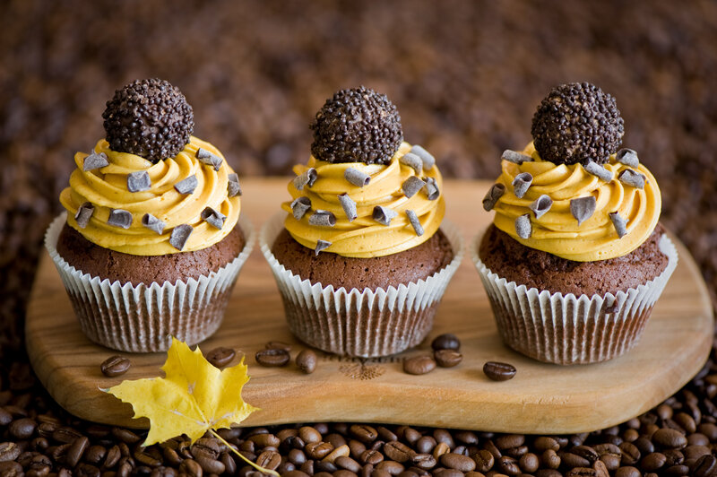 Chocolate Cupcakes — Brown, Warm, Autumn