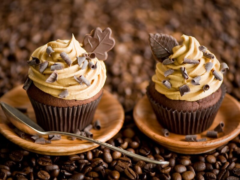 Chocolate Cupcakes — Brown, Warm, Photograph