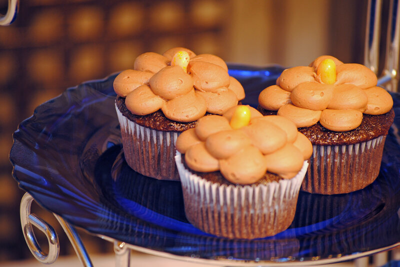 Chocolate Cupcakes on Stand — Brown, Warm