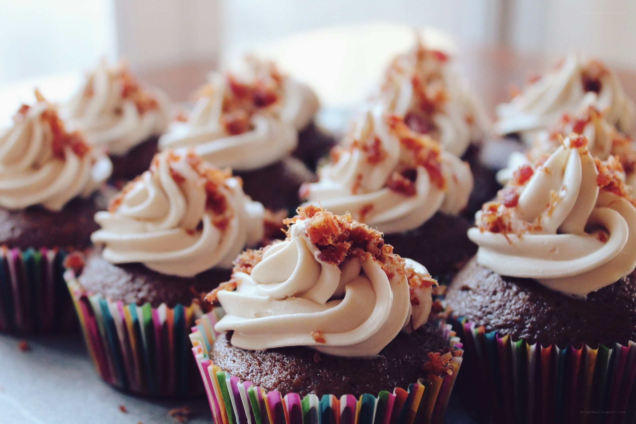 chocolate cupcakes with bacon