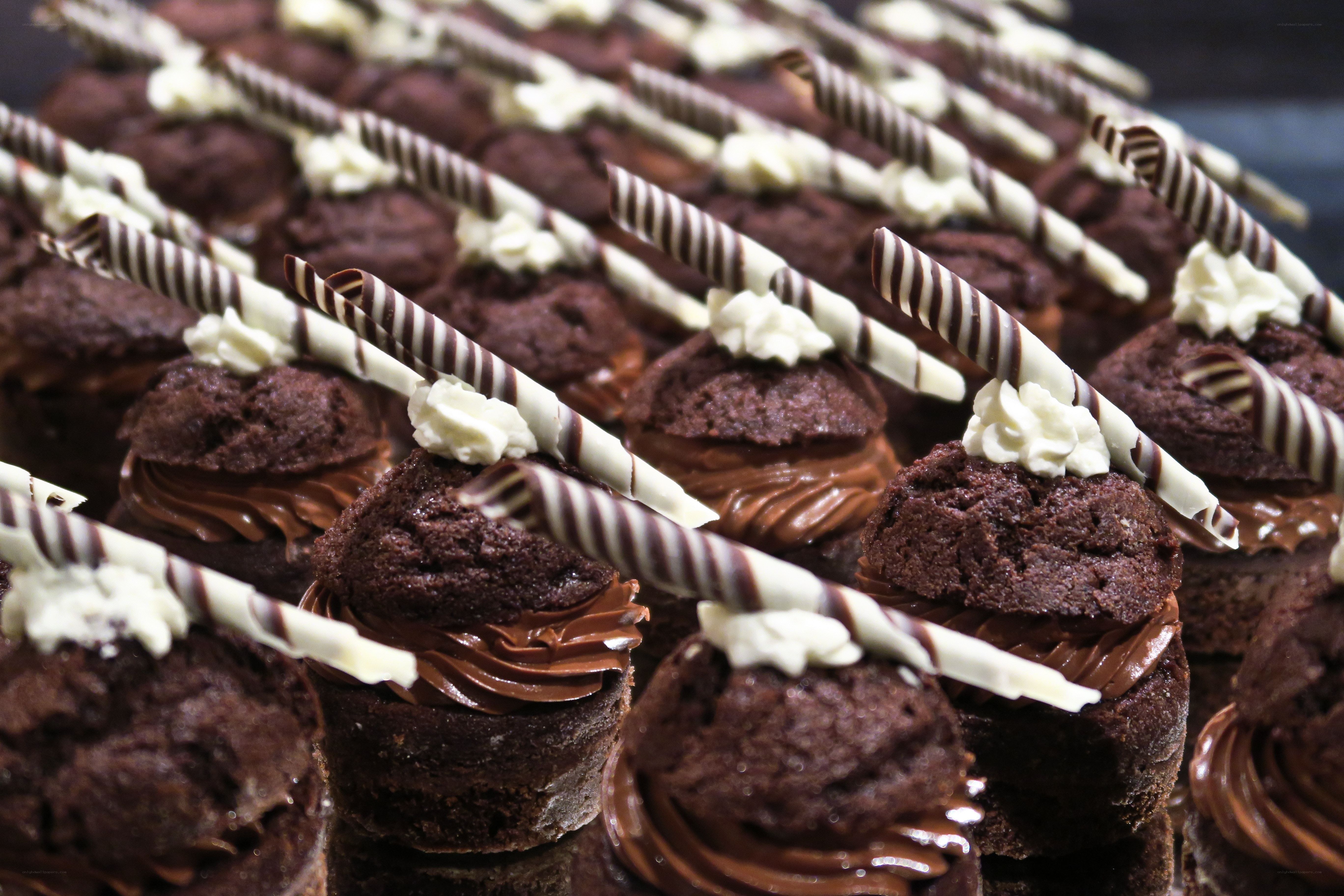 Chocolate cupcakes with chocolate sticks