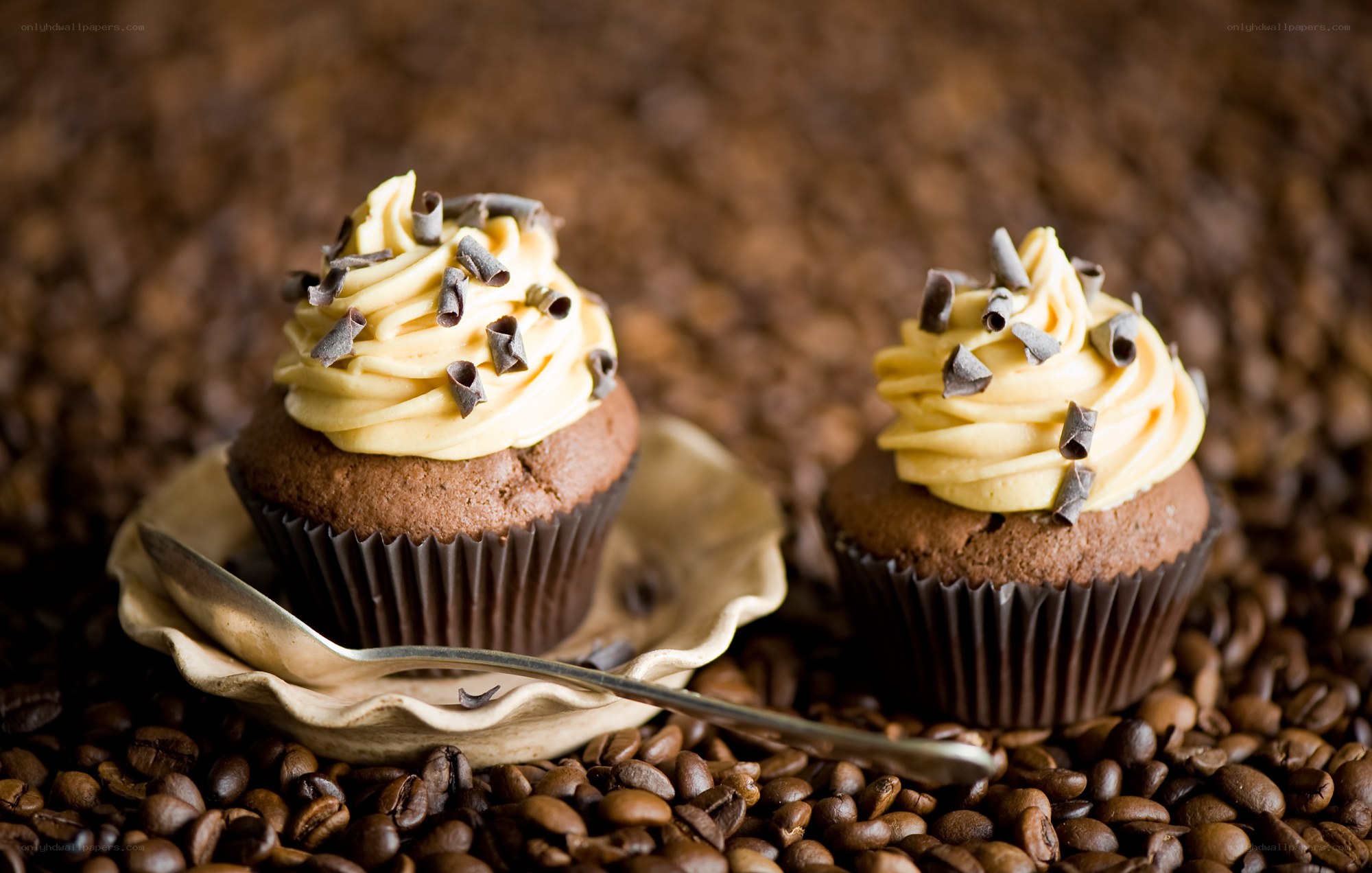 chocolate cupcakes with coffee beans