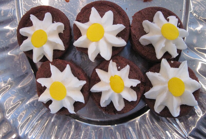 Chocolate Cupcakes with Daisies
