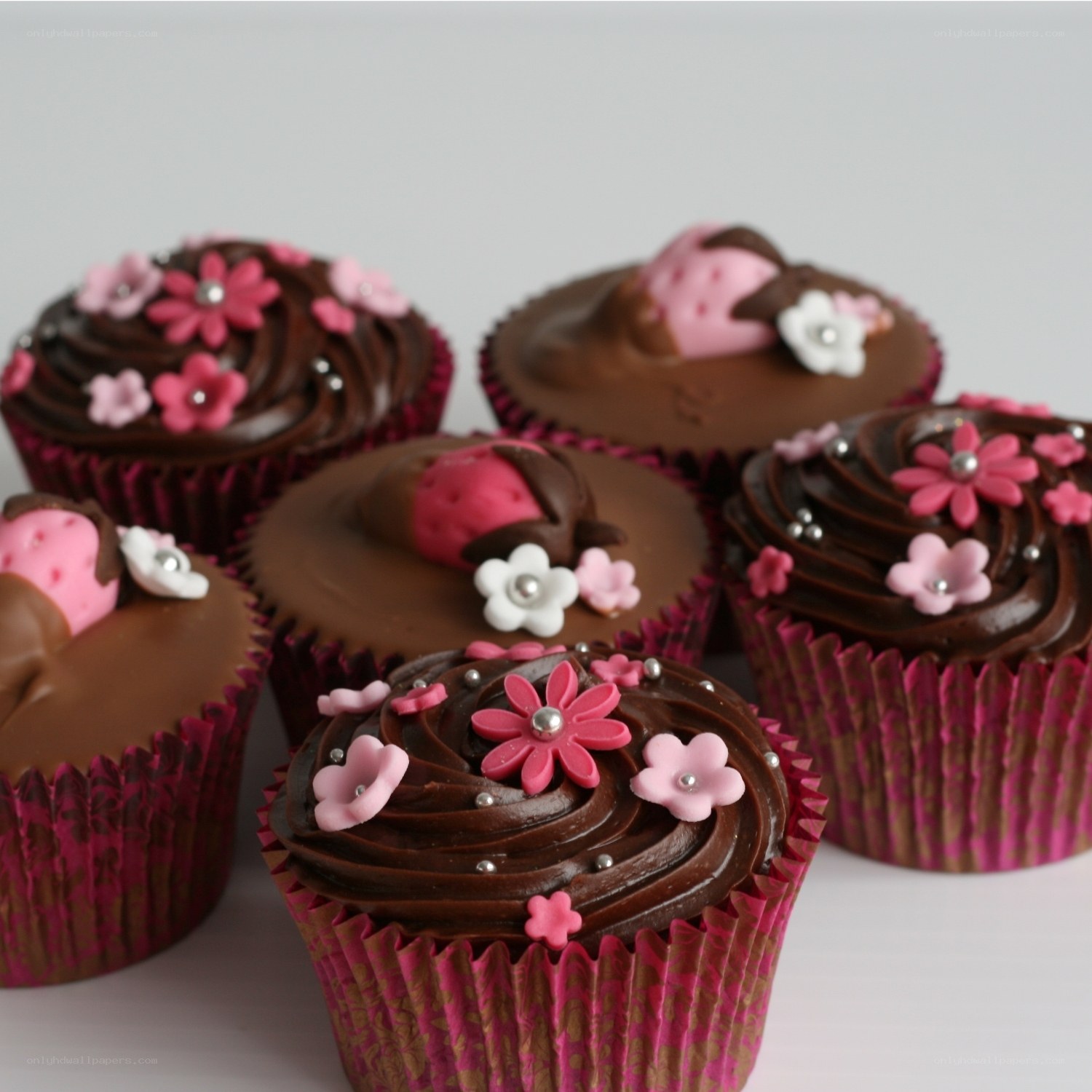 chocolate cupcakes with flowers