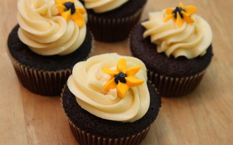 chocolate cupcakes with frosting