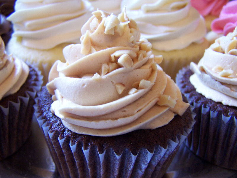 chocolate cupcakes with frosting