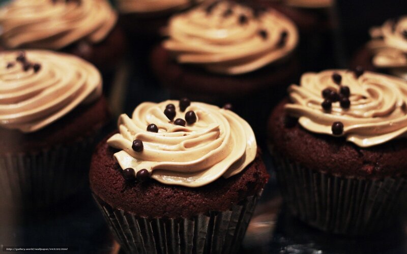 Chocolate Cupcakes with Frosting — Brown, Indoor, Photograph, Chocolate Chips