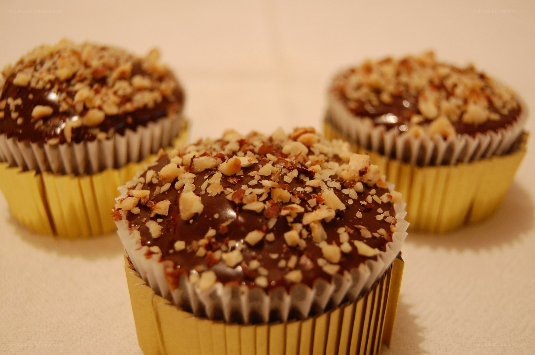chocolate cupcakes with nuts