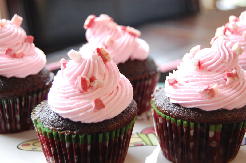 chocolate cupcakes with pink frosting