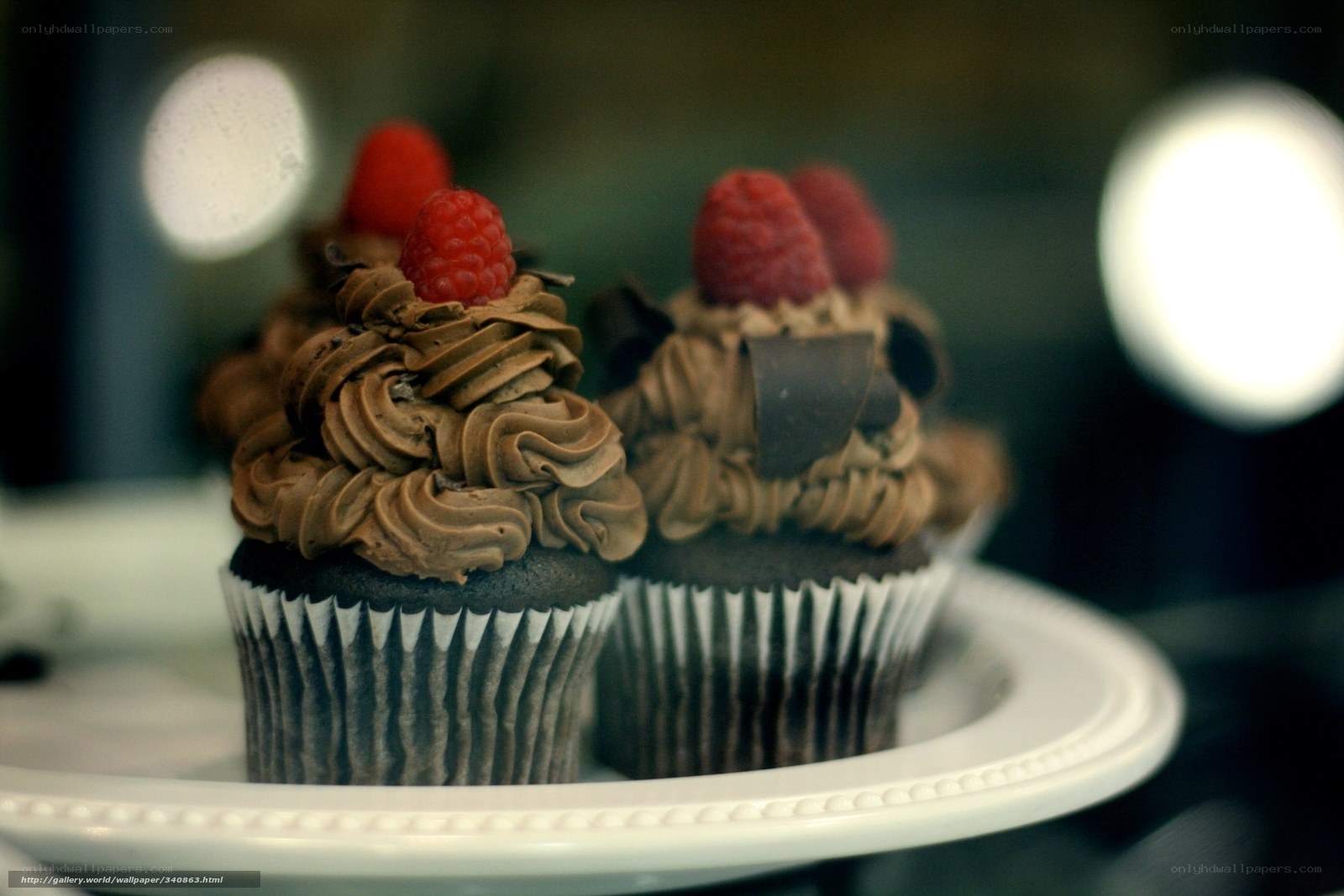 Chocolate cupcakes with raspberries