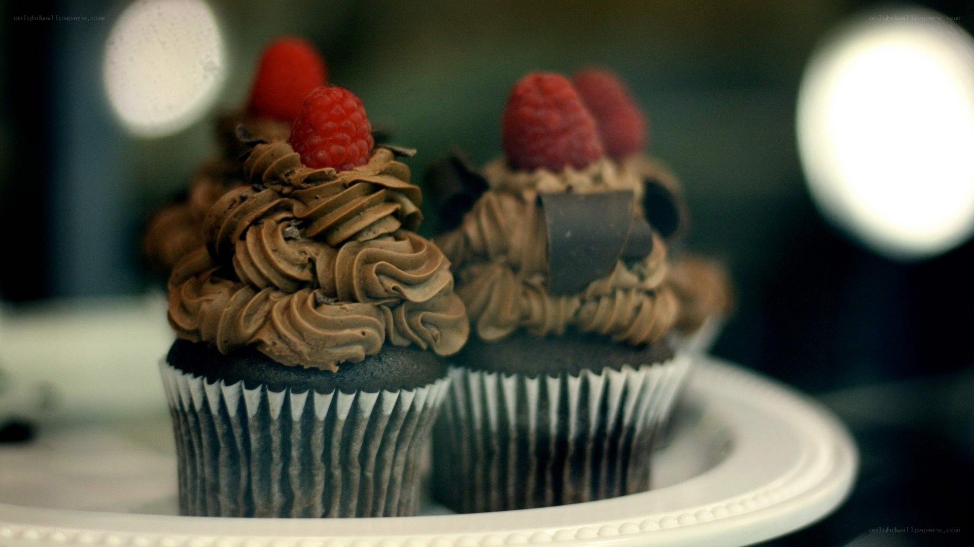 chocolate cupcakes with raspberries