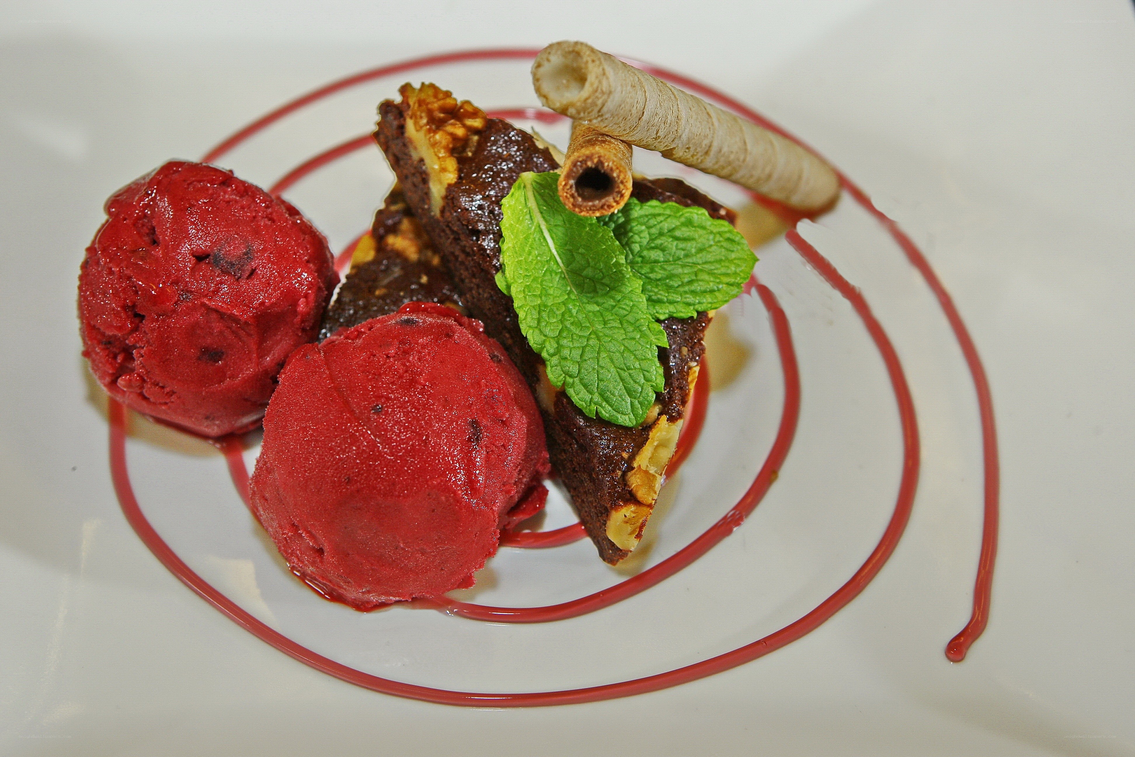 chocolate dessert with berry ice cream