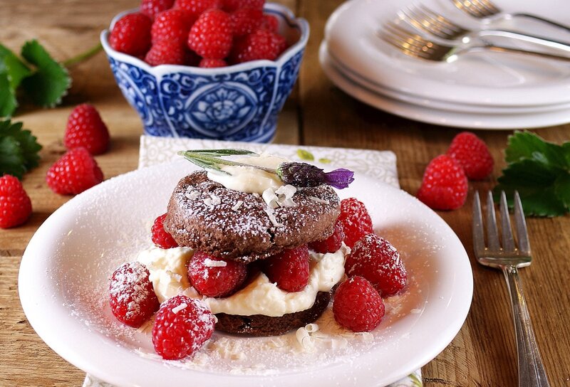Chocolate Dessert with Raspberries — Red