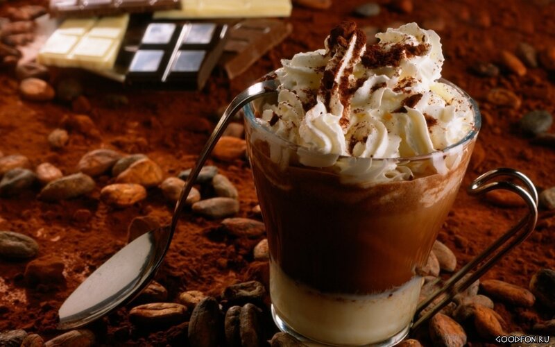 chocolate dessert with whipped cream