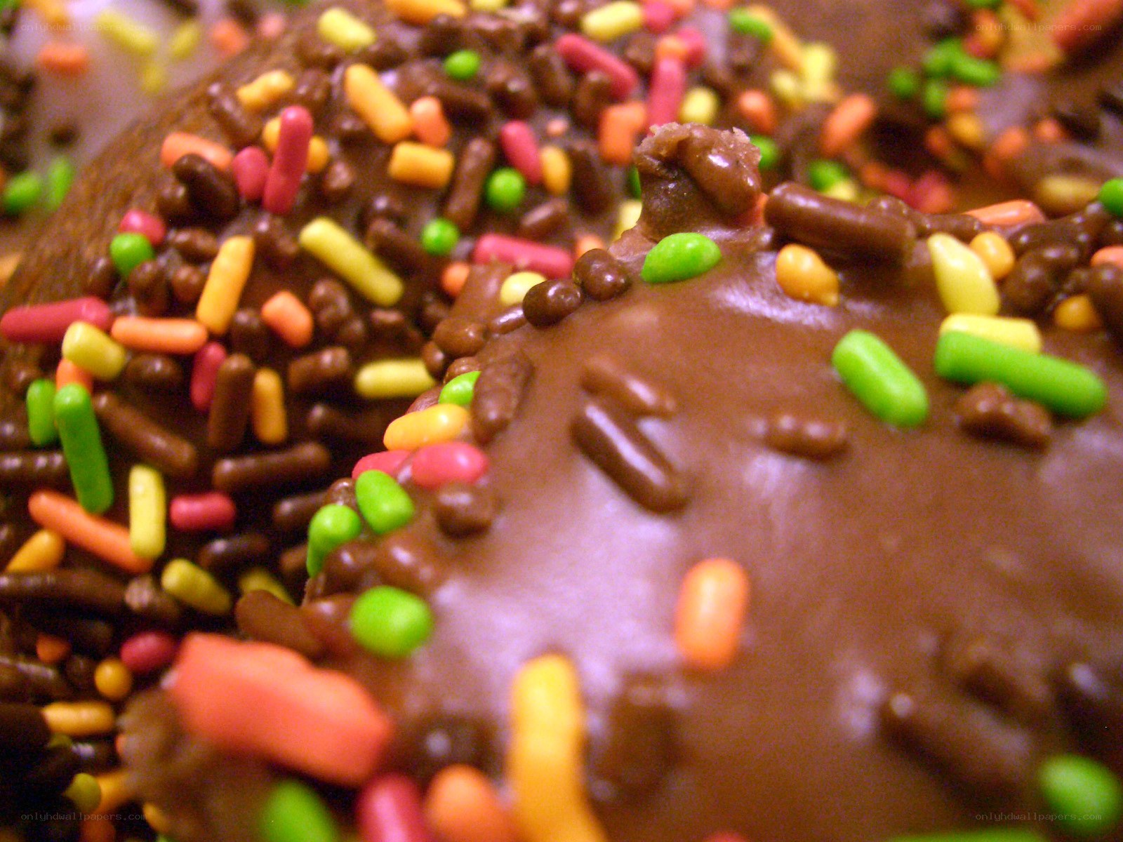 chocolate donut with sprinkles
