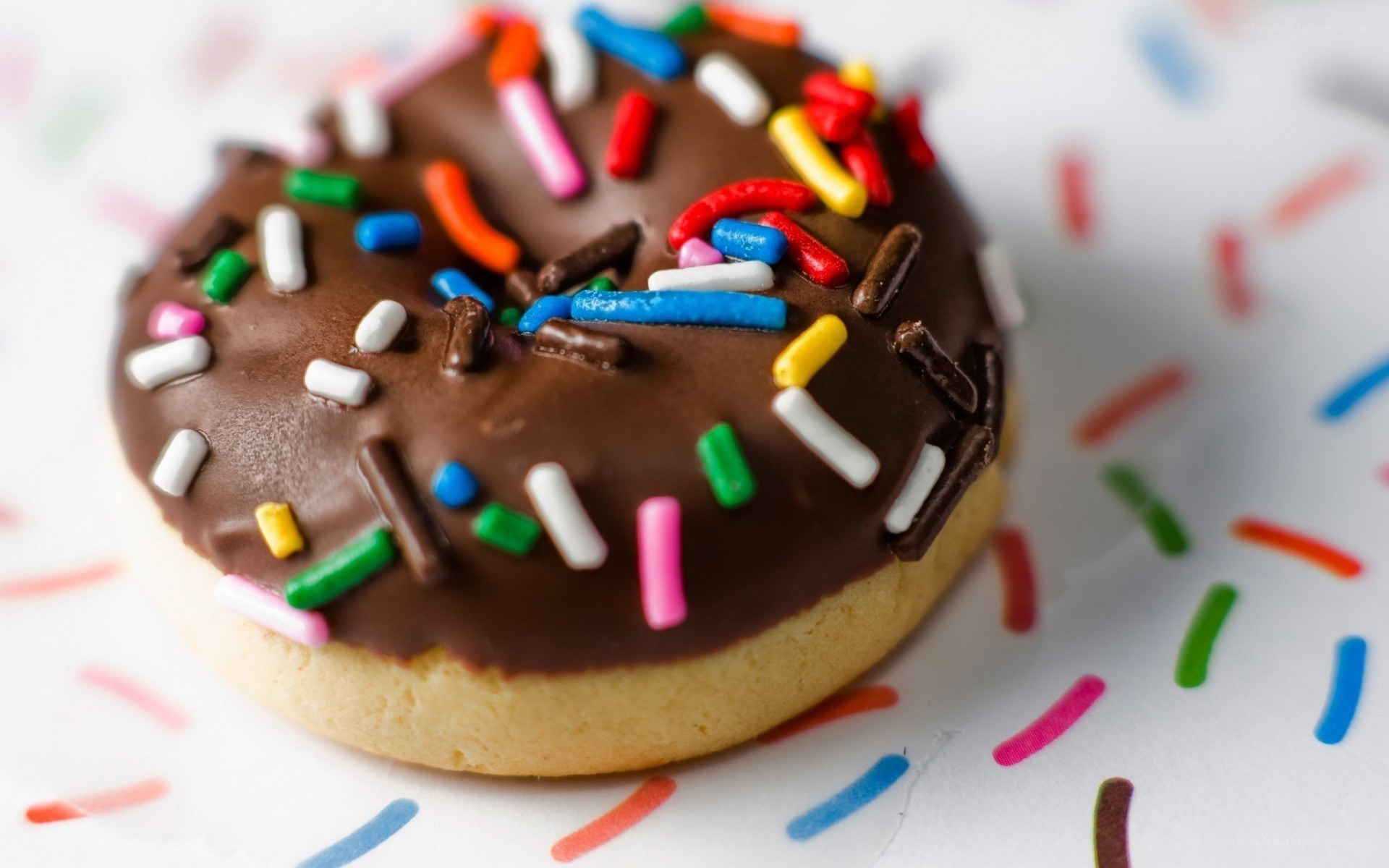 chocolate donut with sprinkles