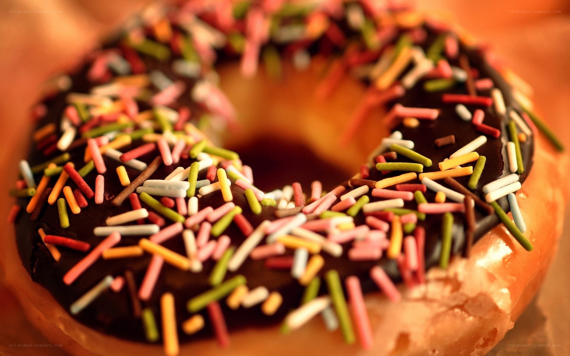 chocolate donut with sprinkles