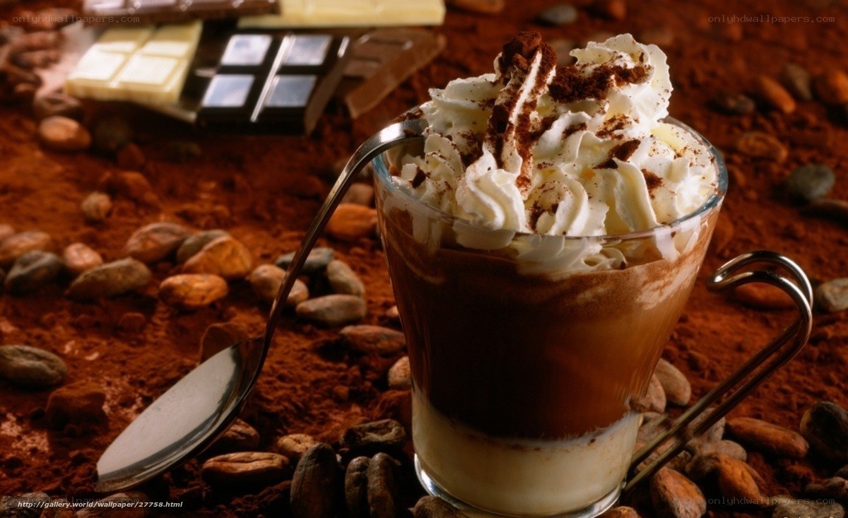 Chocolate drink with whipped cream