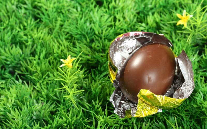Chocolate Egg in Grass — Green