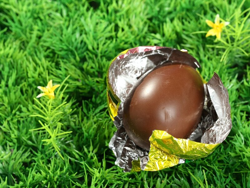 chocolate egg in grass