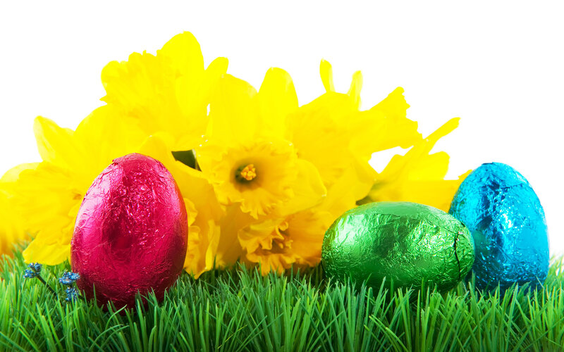 Chocolate Eggs and Daffodils