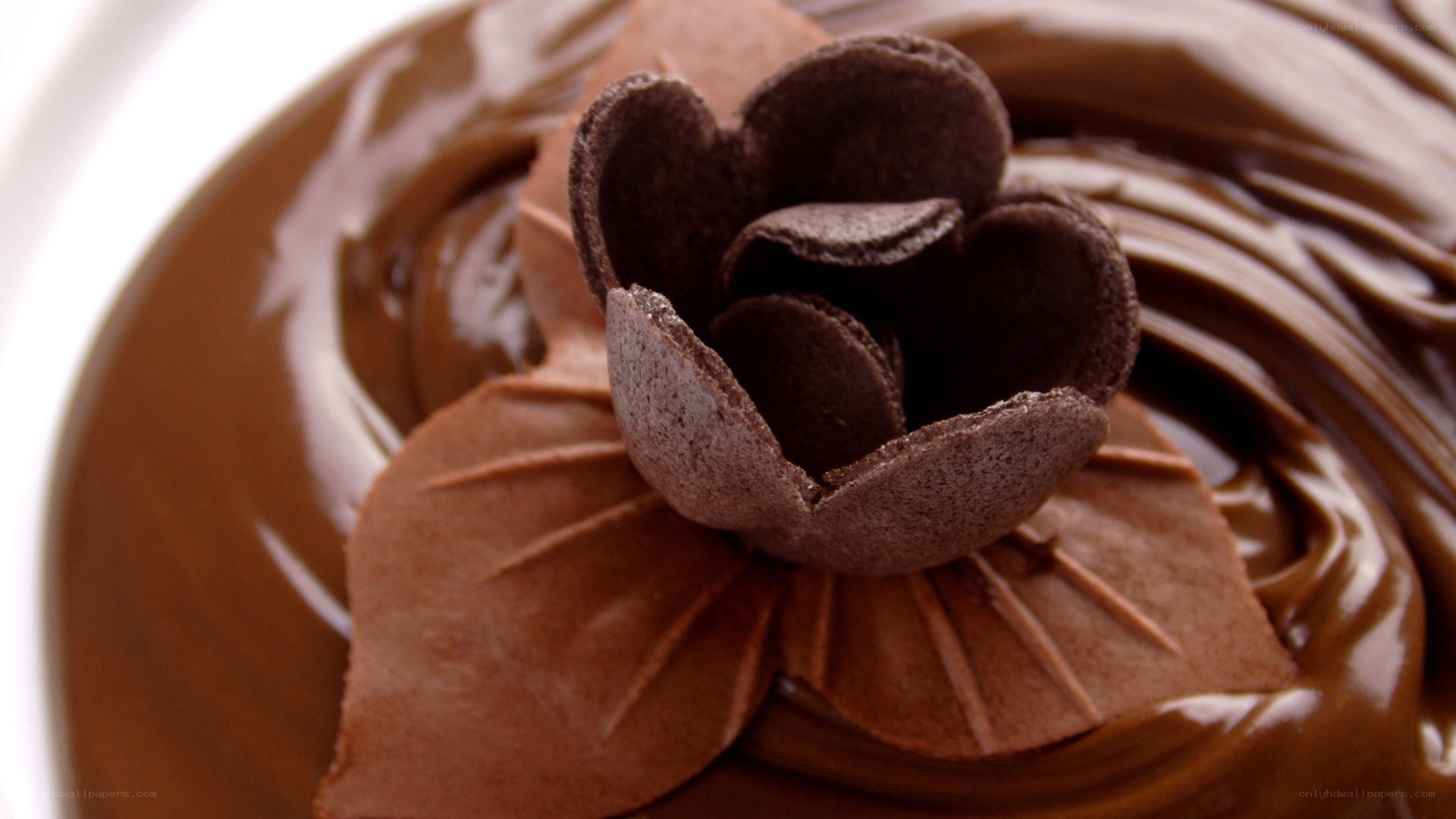 chocolate flower dessert