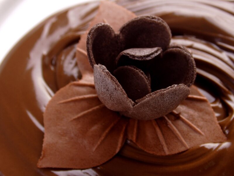 Chocolate Flower Dessert — Brown, Indulgent, Photograph