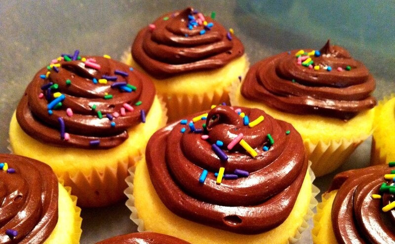 Chocolate-frosted Cupcakes — Brown