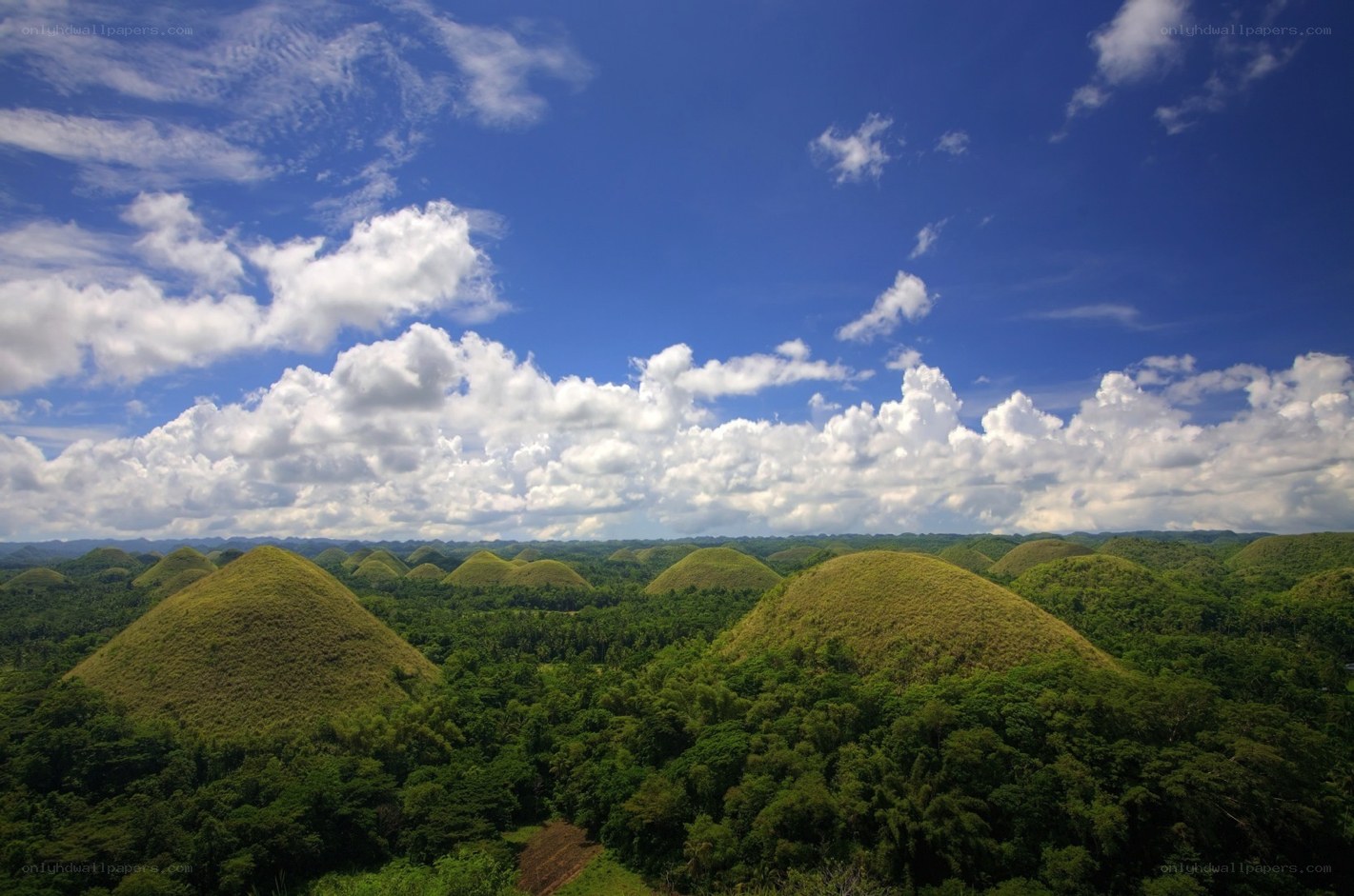 Chocolate Hills landscape