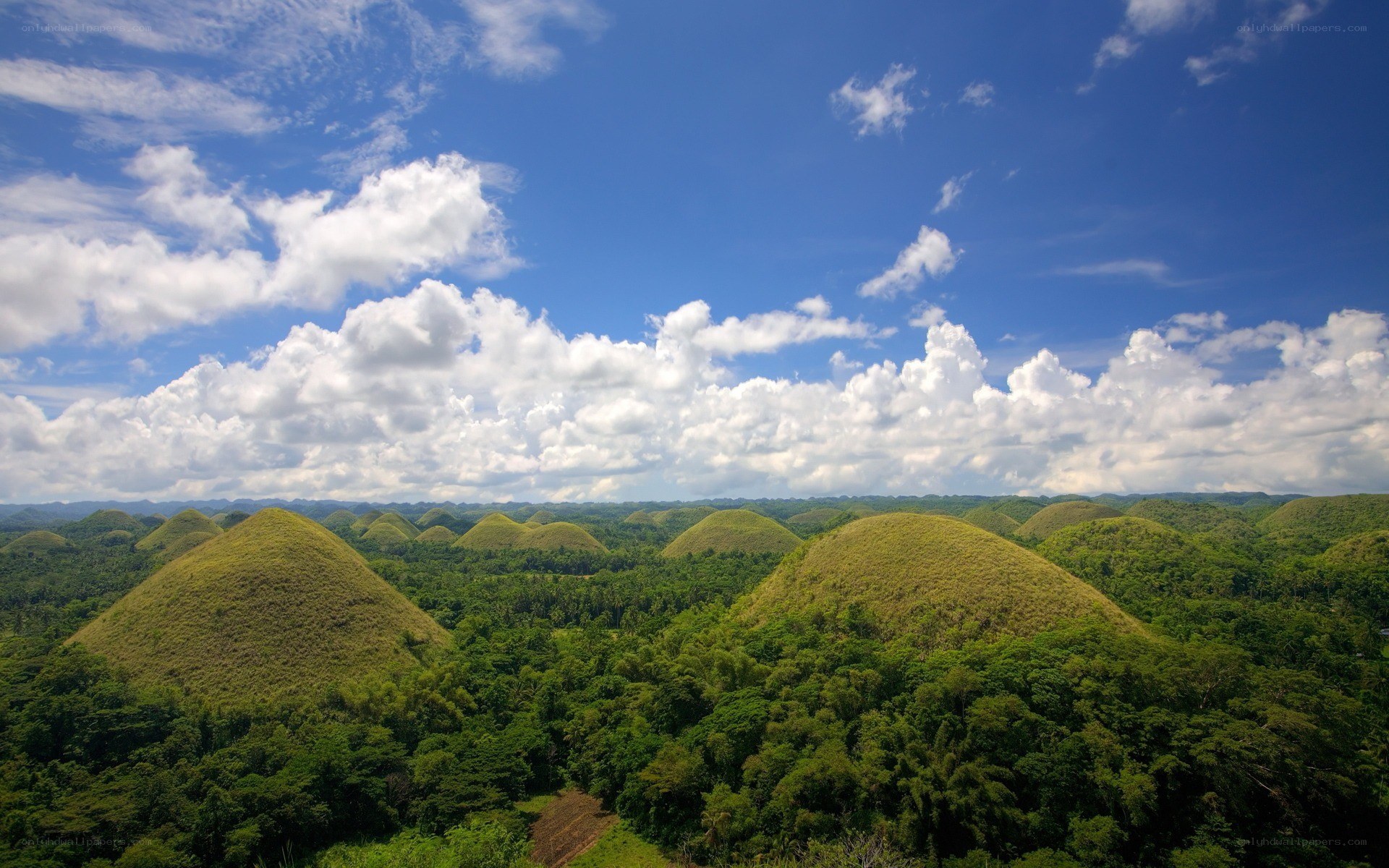 Chocolate Hills landscape