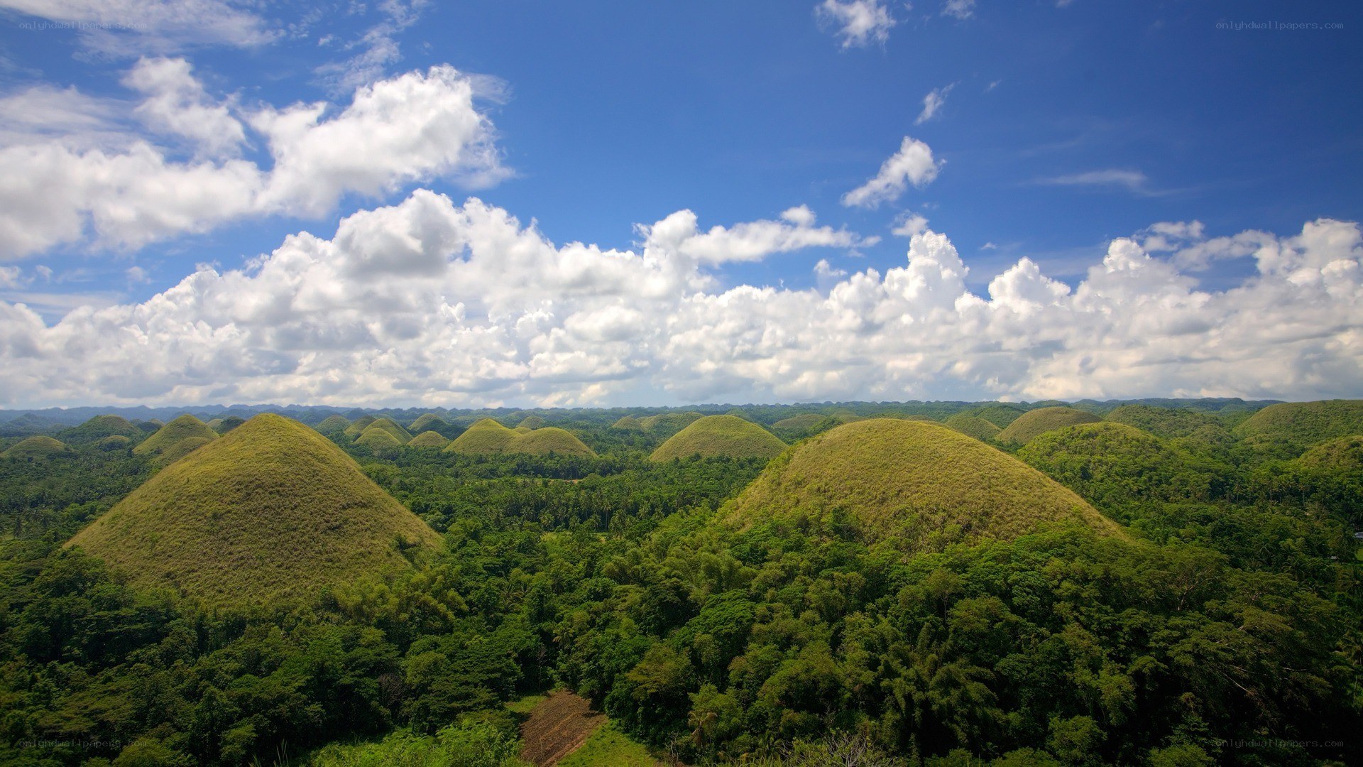 Chocolate Hills landscape