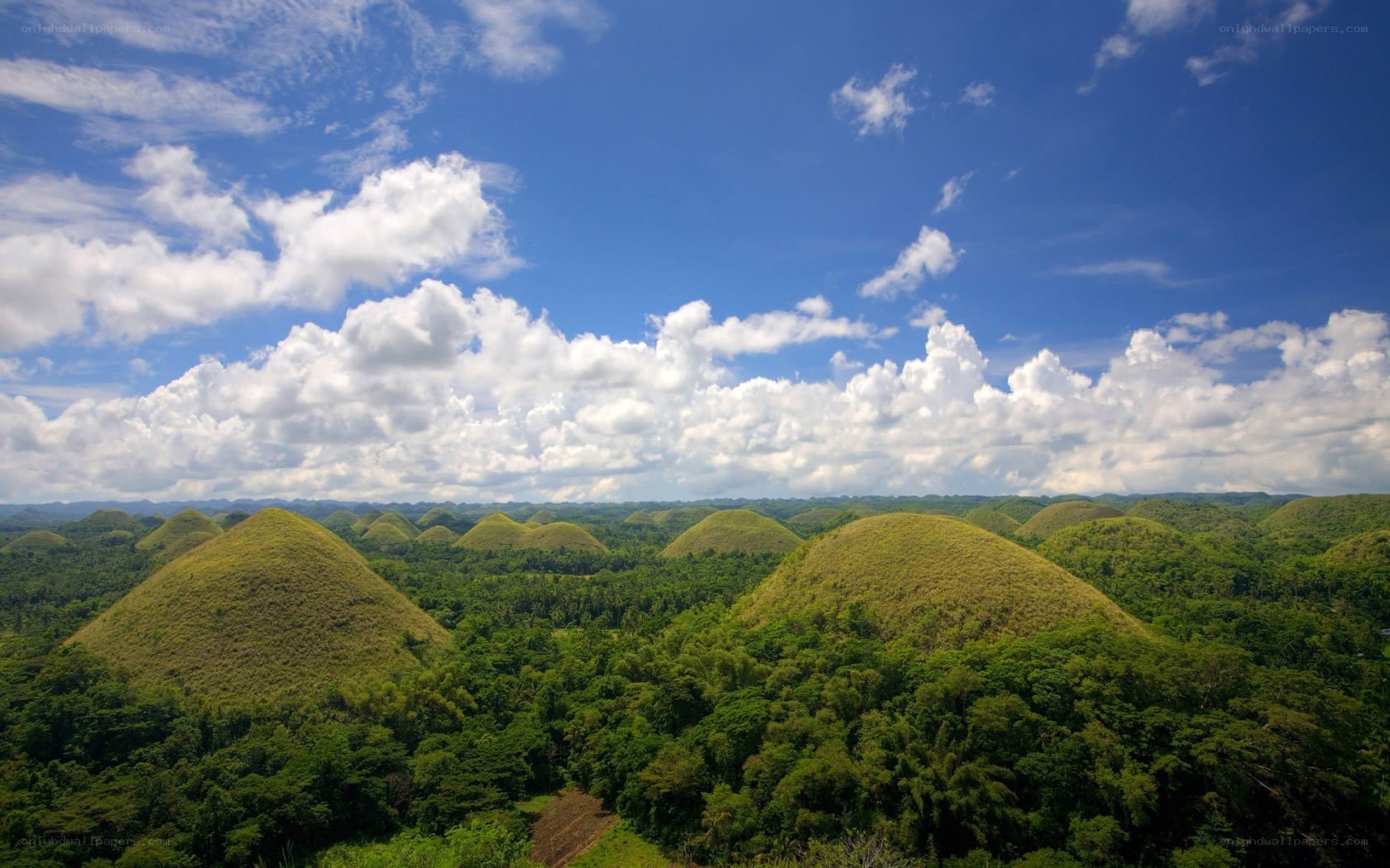 Chocolate Hills landscape