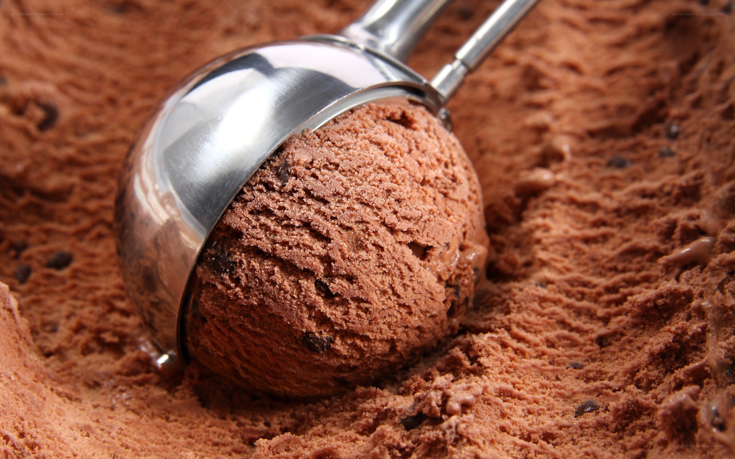 Chocolate ice cream scoop