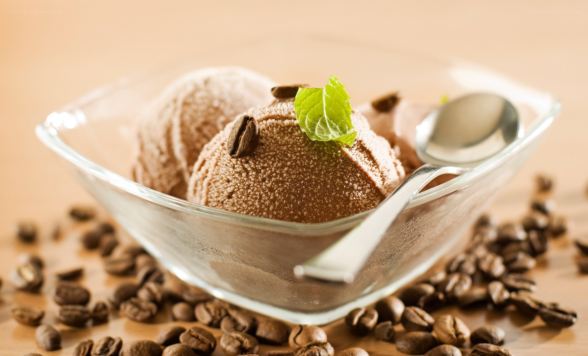Chocolate ice cream with coffee beans