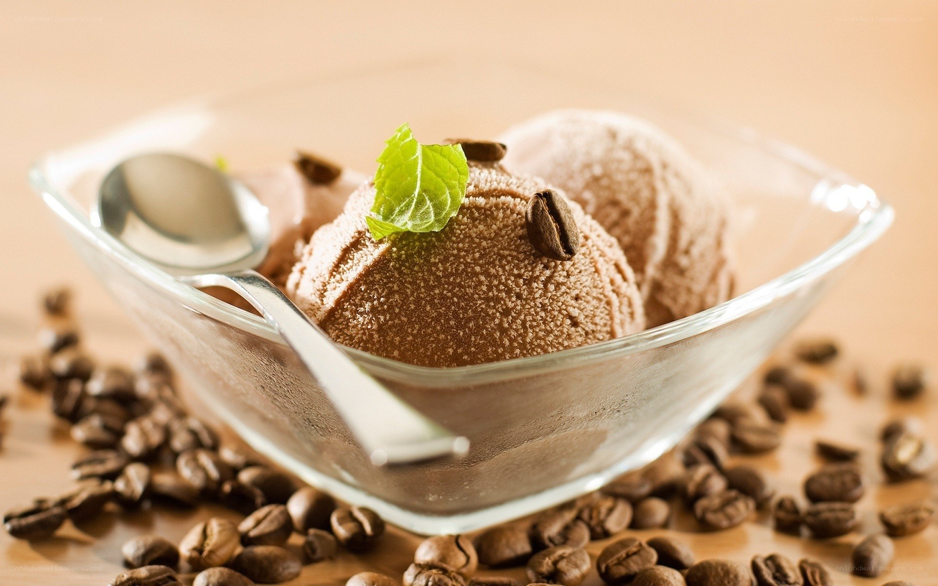 Chocolate ice cream with coffee beans