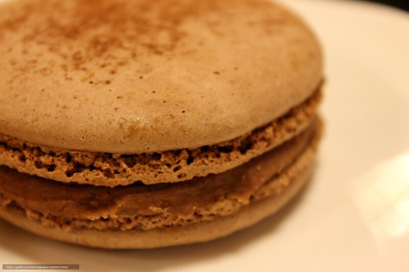 Chocolate Macaron — Brown