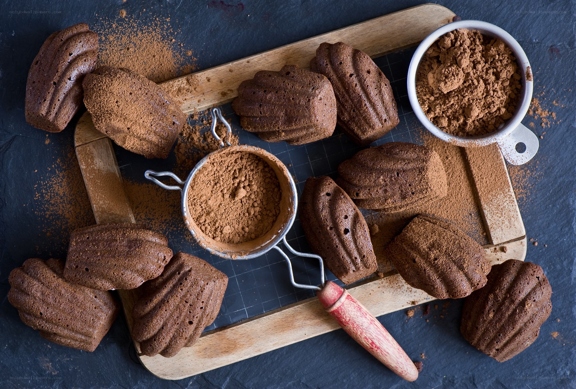 Chocolate madeleines with cocoa powder