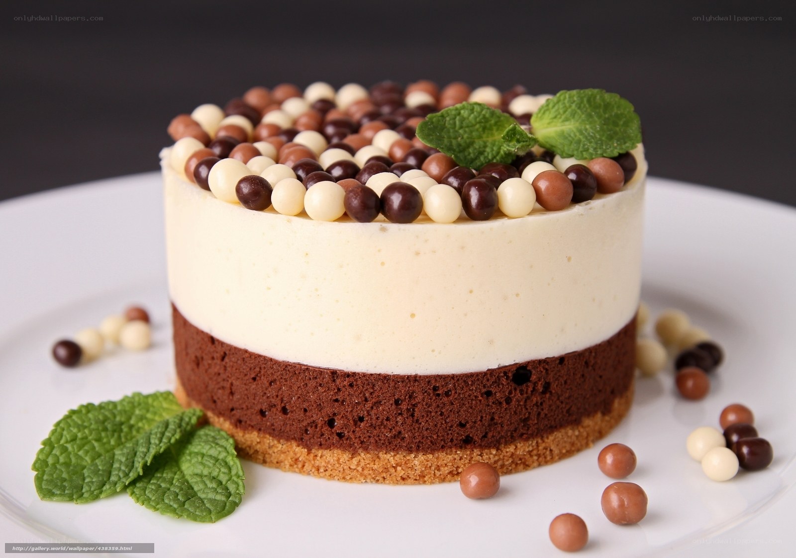 chocolate mousse cake with mint