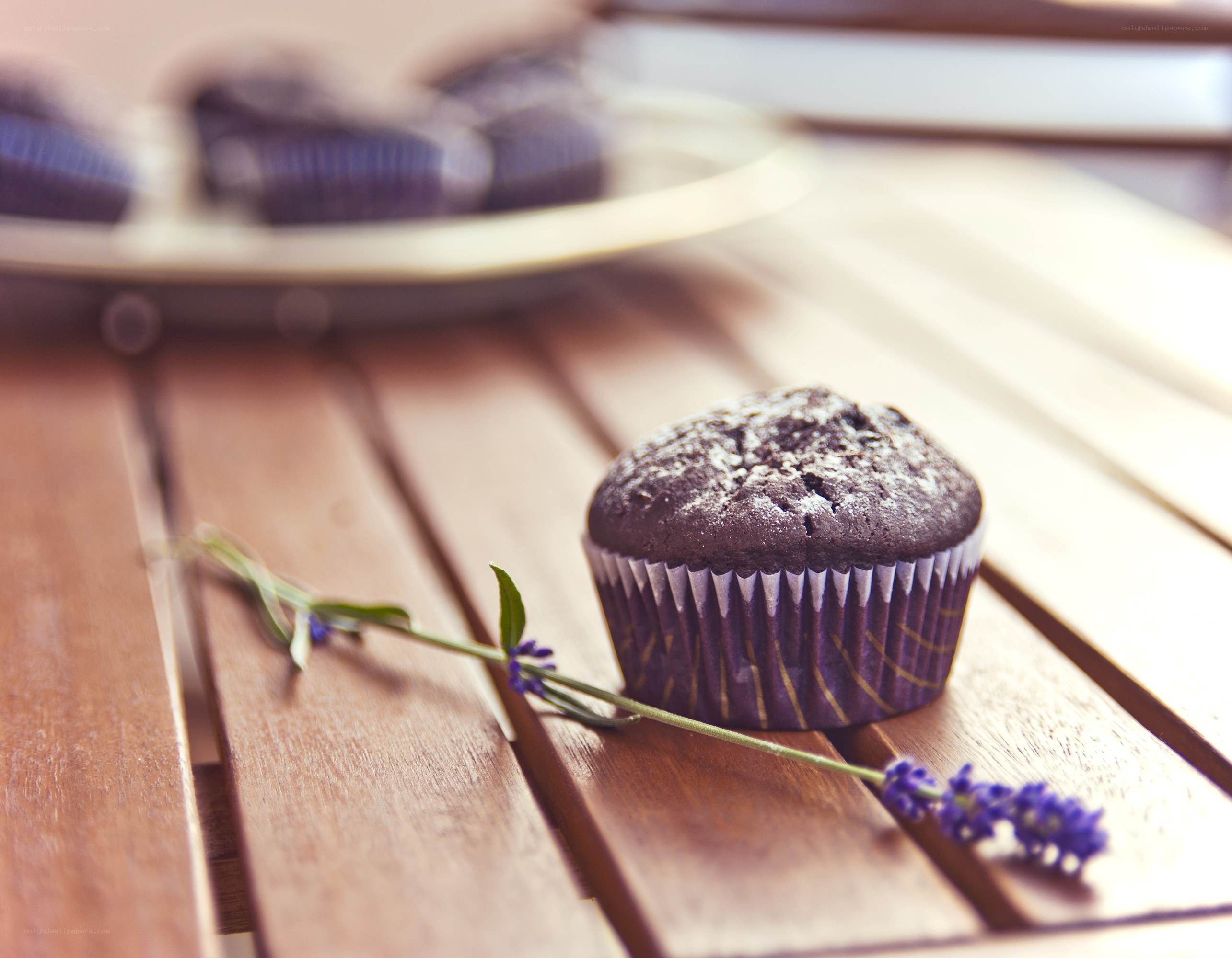 Chocolate muffin with lavender