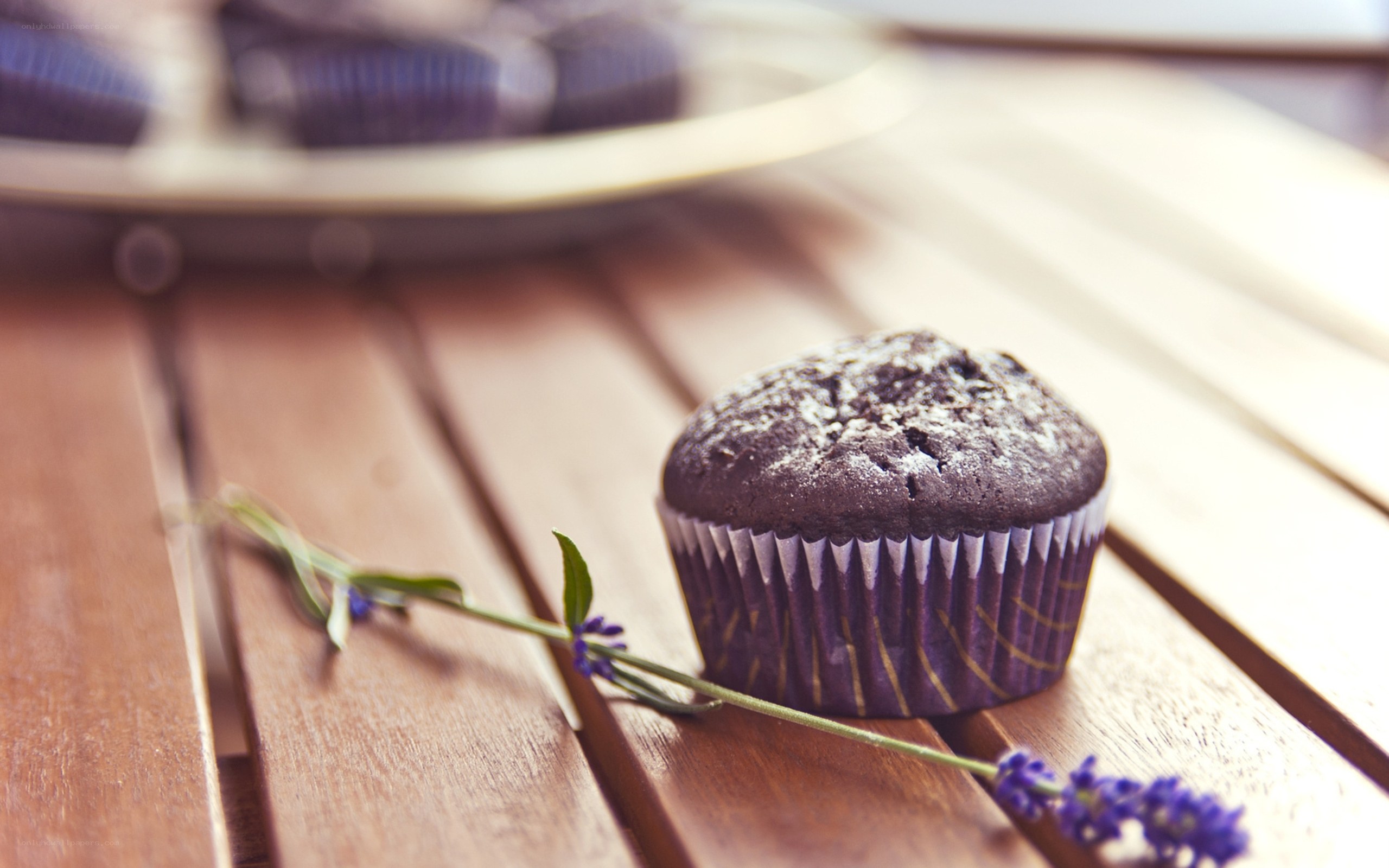 Chocolate muffin with lavender