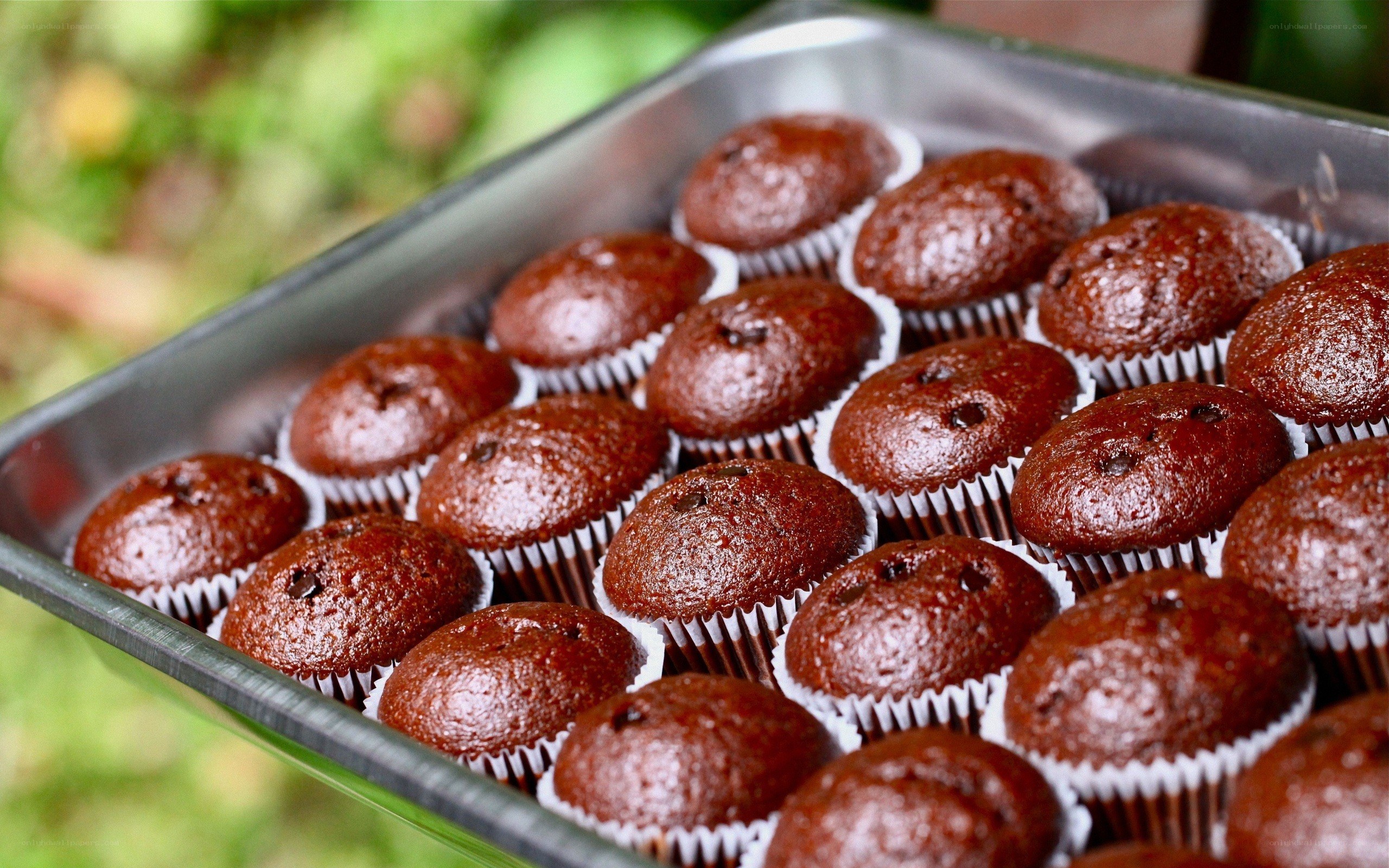 Chocolate muffins in a tray