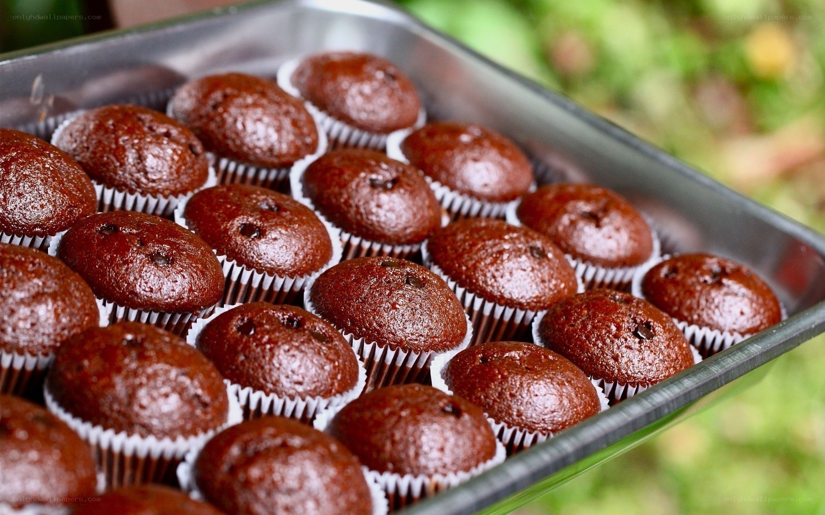 chocolate muffins in a tray