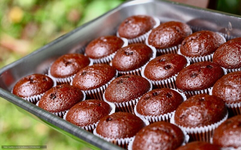 Chocolate Muffins in Tray — Brown